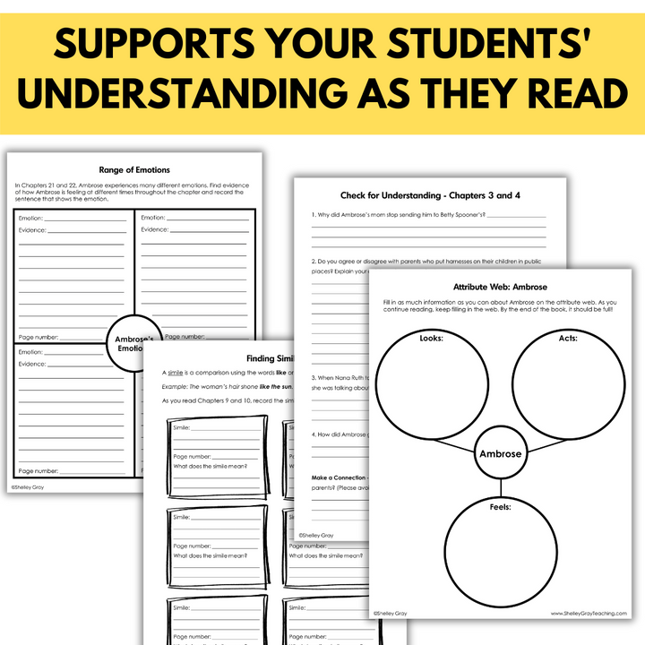 Word Nerd by Susin Nielsen - Novel Study with Graphic Organizers and Comprehension Questions